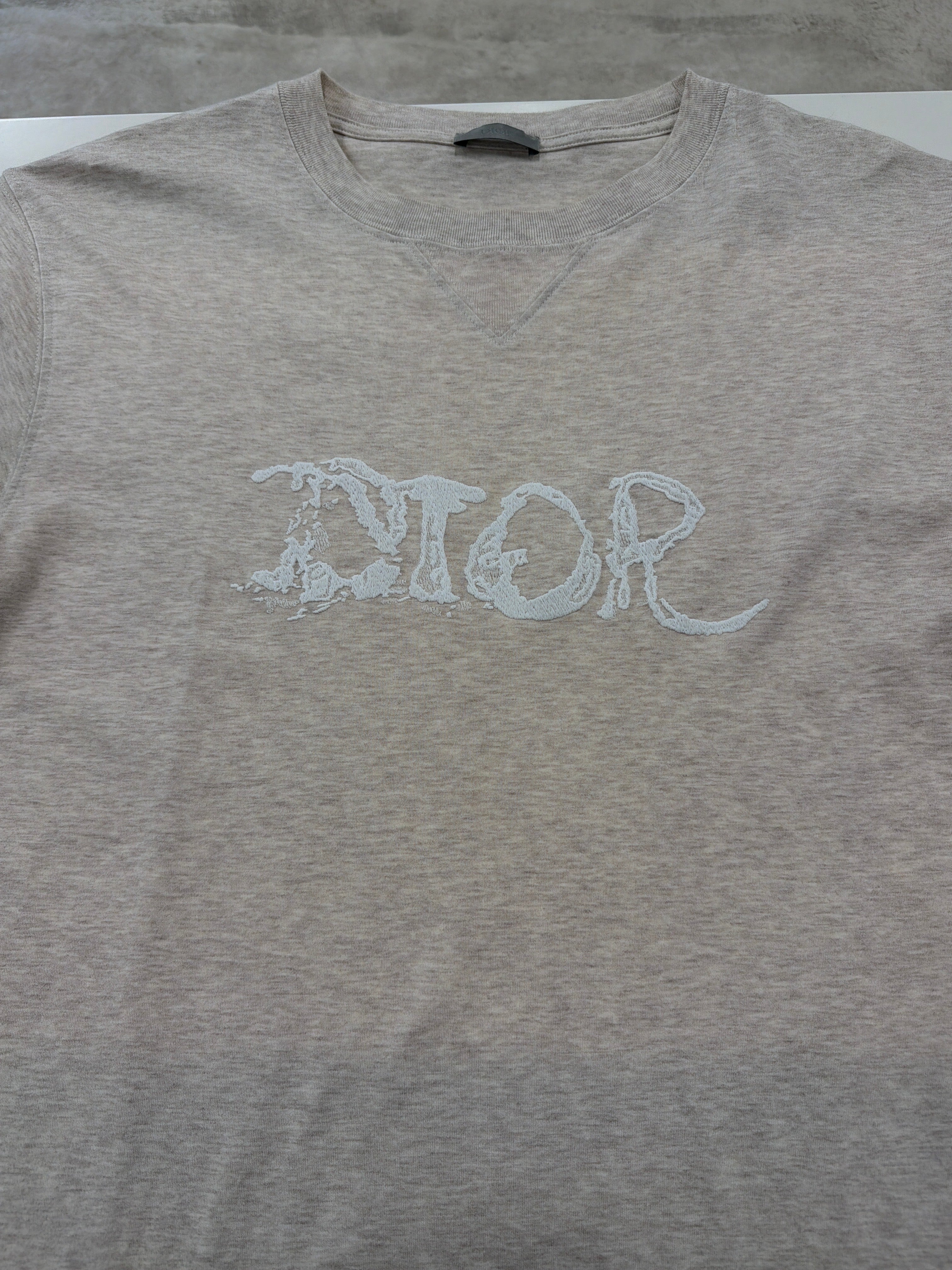 Dior x Peter Doig 2021 Graphic Print T -Shirt