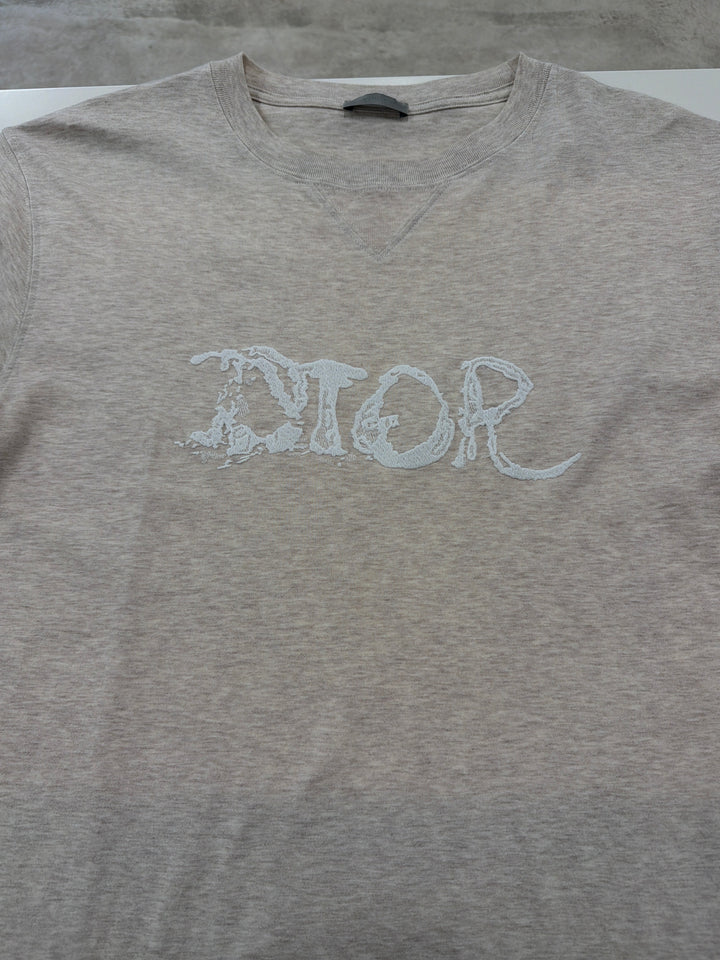 Dior x Peter Doig 2021 Graphic Print T -Shirt