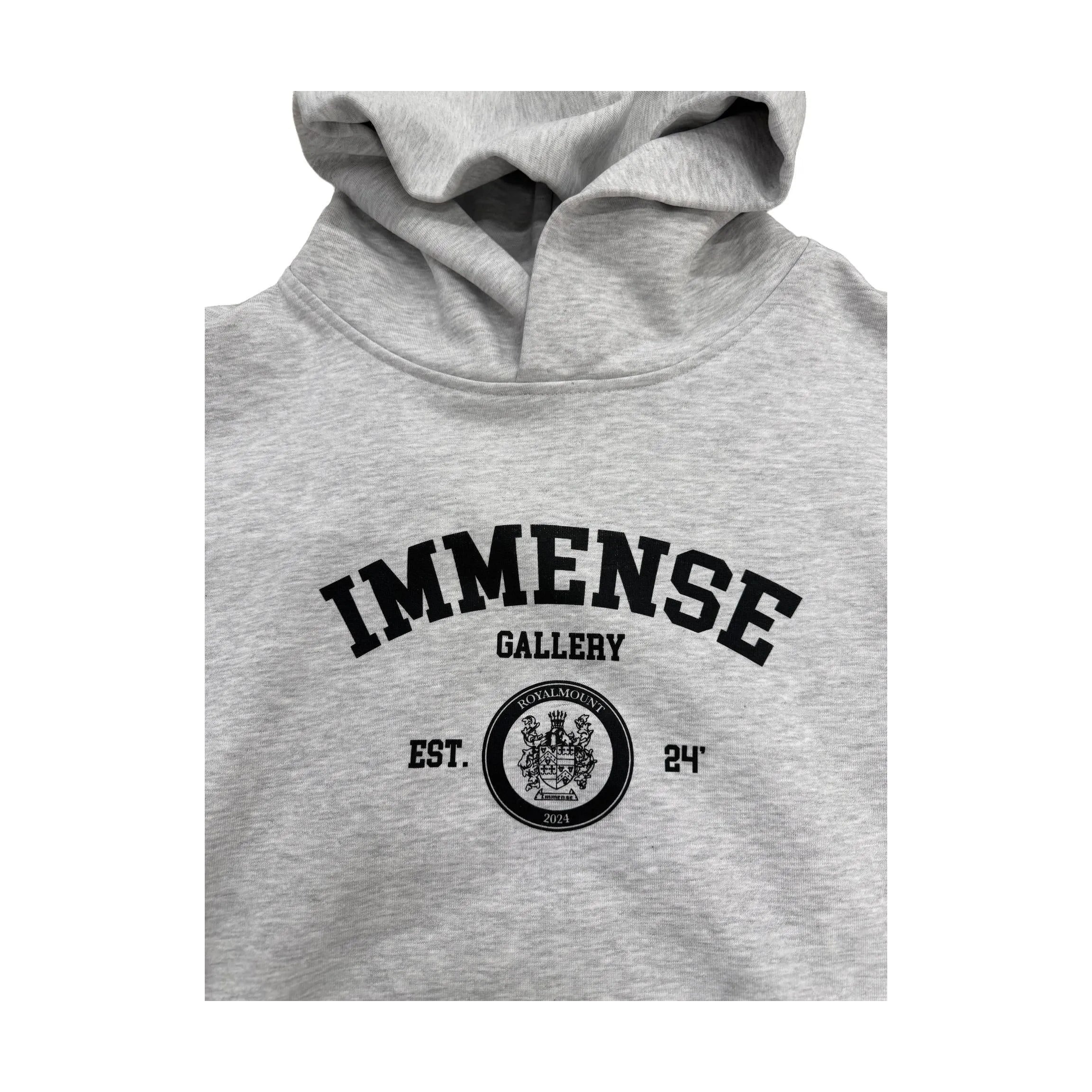 Immense Gallery Varsity Hoodie Grey