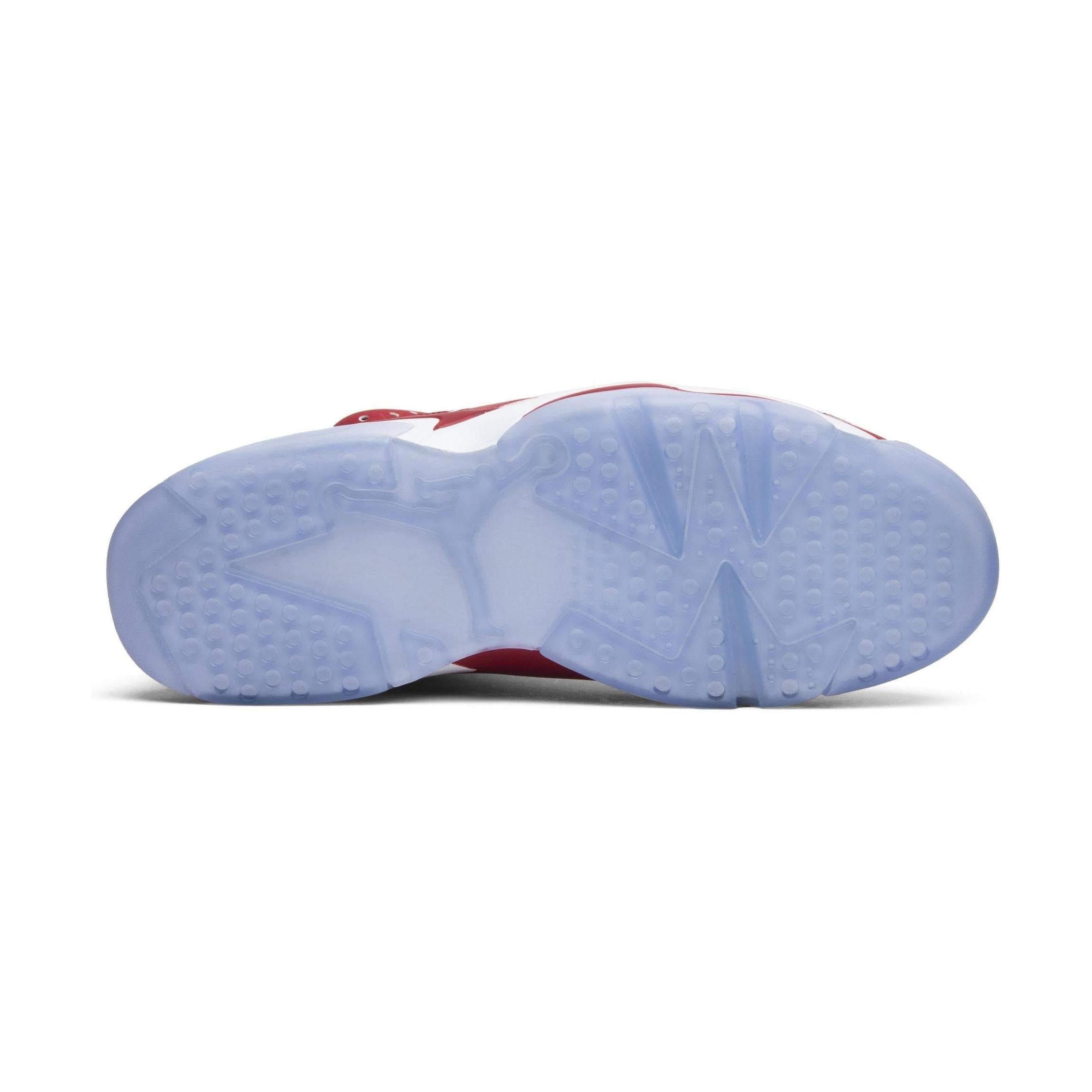 Jordan 6 Retro Slam Dunk