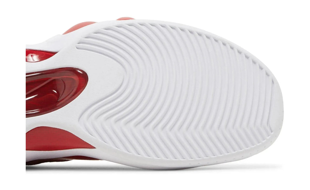 Nike Air Zoom Flight 95 True Red