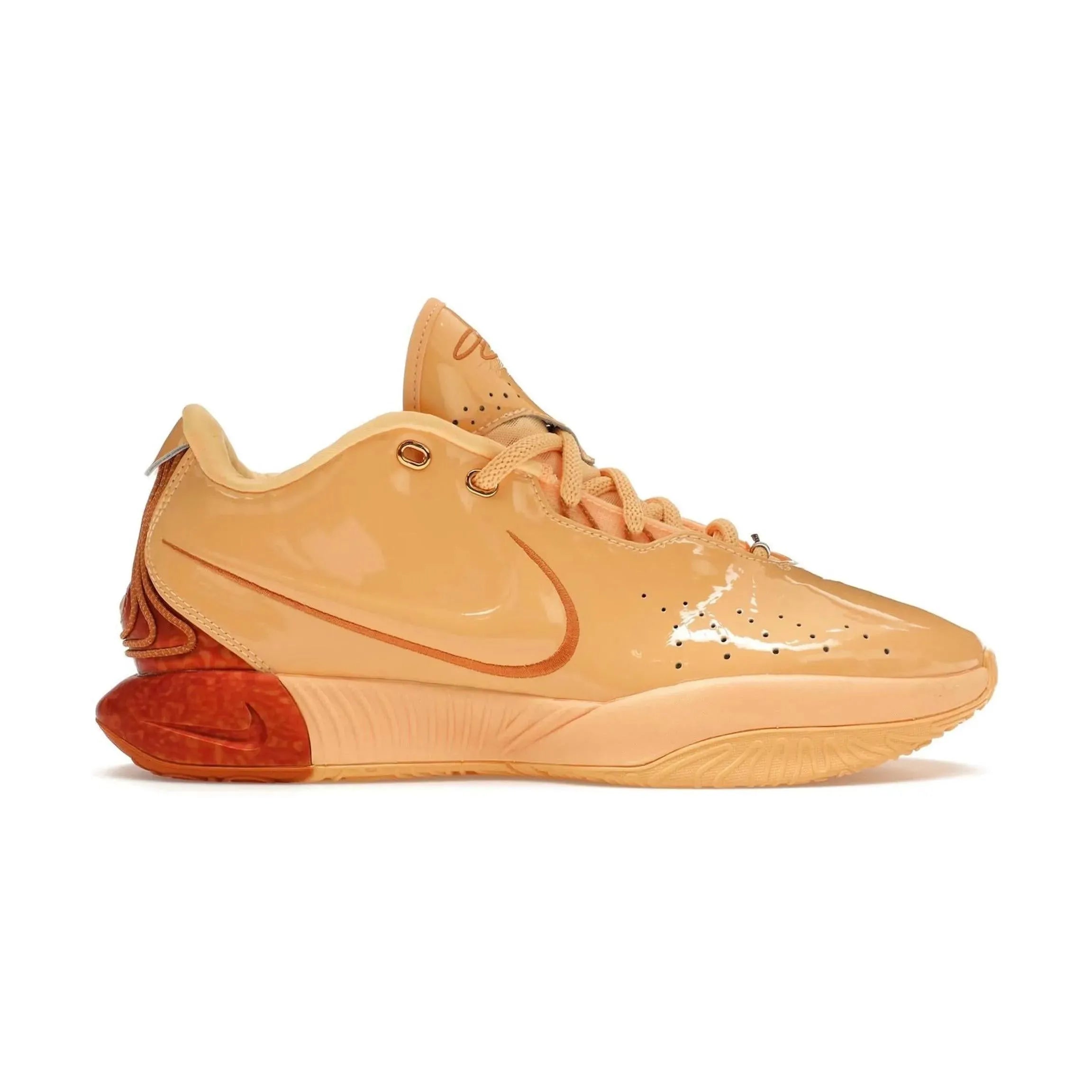 Nike LeBron 21 Melo Melo
